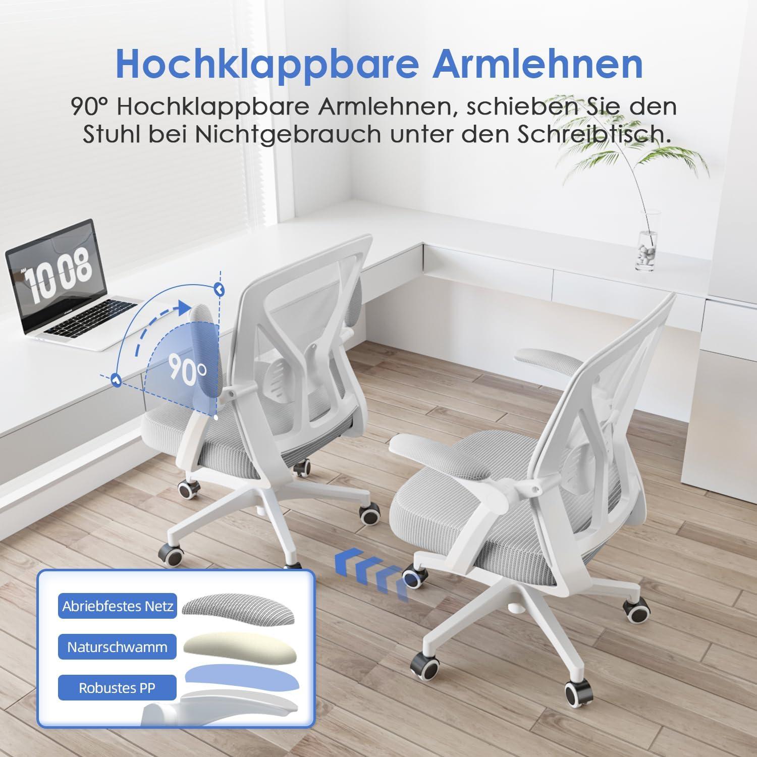 Hinonde Ergonomischer Bürostuhl mit Lendenwirbelstütze Grau