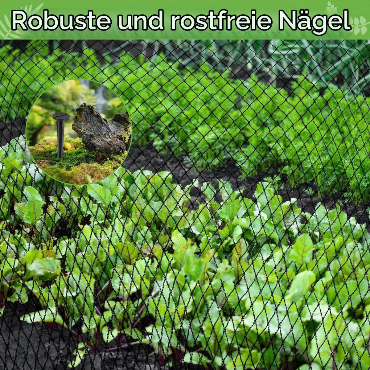 Teichnetz Feinmaschig 2x5m mit 12 Bodenankern