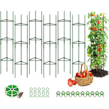 Tomaten Rankhilfe 6er Set 120 cm Höhe Pflanzenkäfig Metall