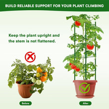 Tomaten Rankhilfe 6er Set 120 cm Höhe Pflanzenkäfig Metall