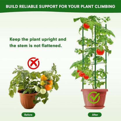 Tomaten Rankhilfe 6er Set 120 cm Höhe Pflanzenkäfig Metall