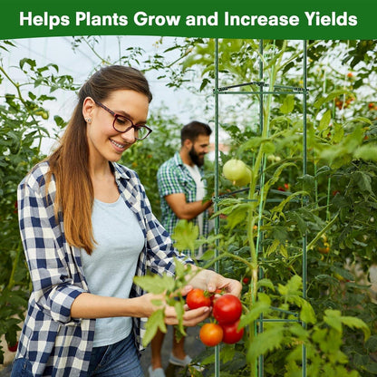 Tomaten Rankhilfe 6er Set 120 cm Höhe Pflanzenkäfig Metall