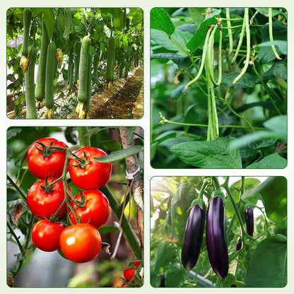 Tomaten Rankhilfe Set 6er Pflanzenhalter 120cm Metall Gartenwerkzeug