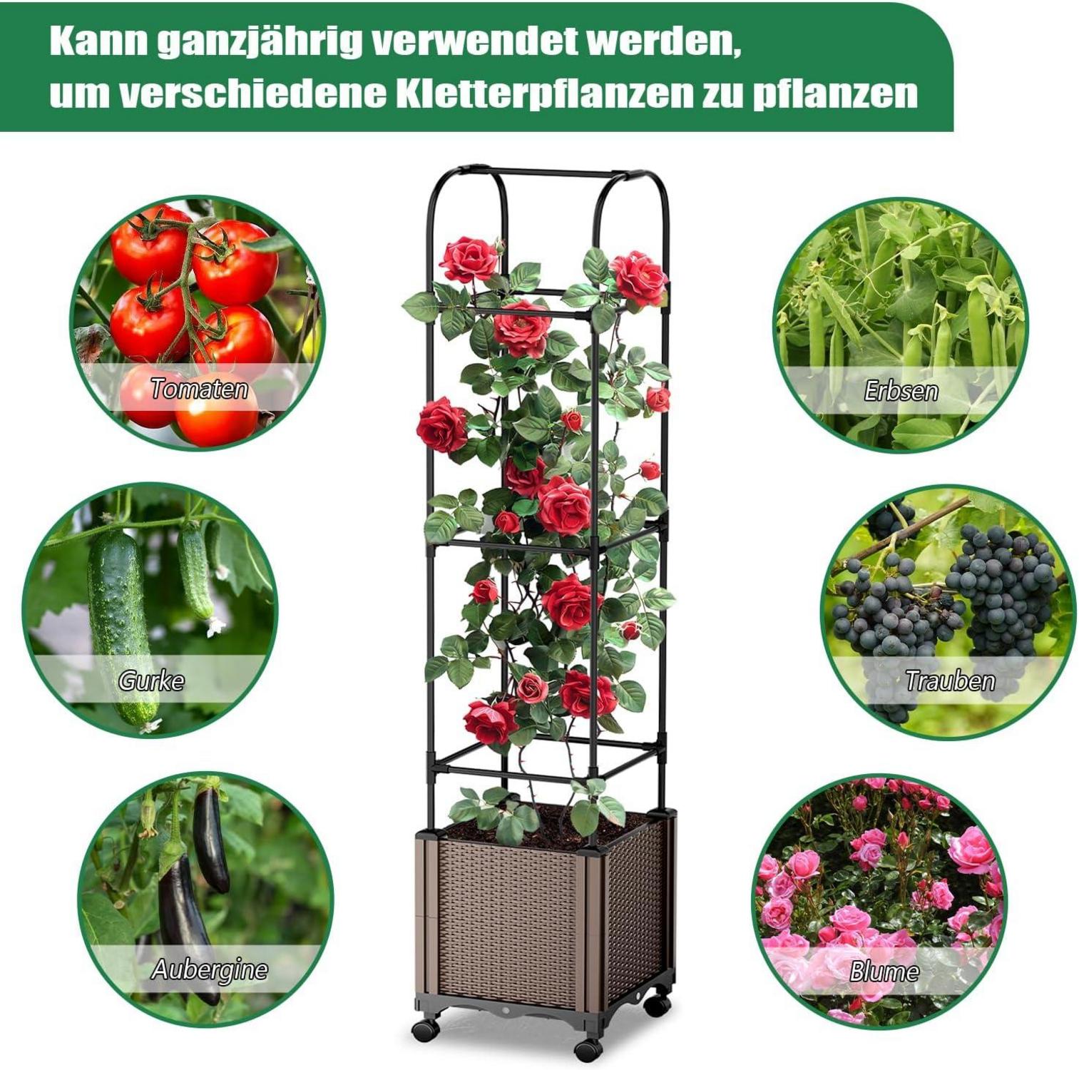 Hochbeet Rankhilfe Blumenkasten Rollenrad & Rollenrad Obelisk