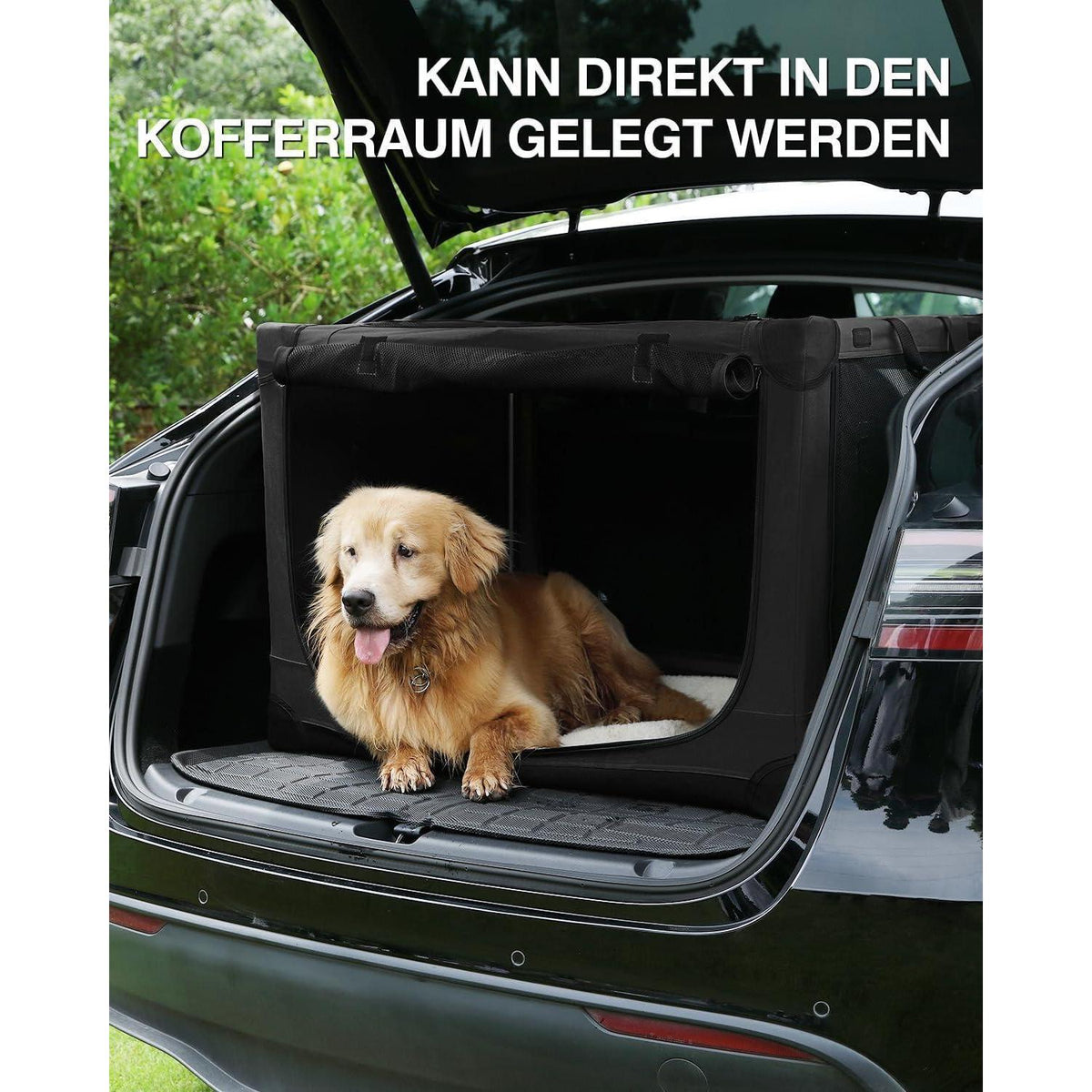 Faltbare Hundebox für mittelgroße Hunde – Reisebox mit Bett