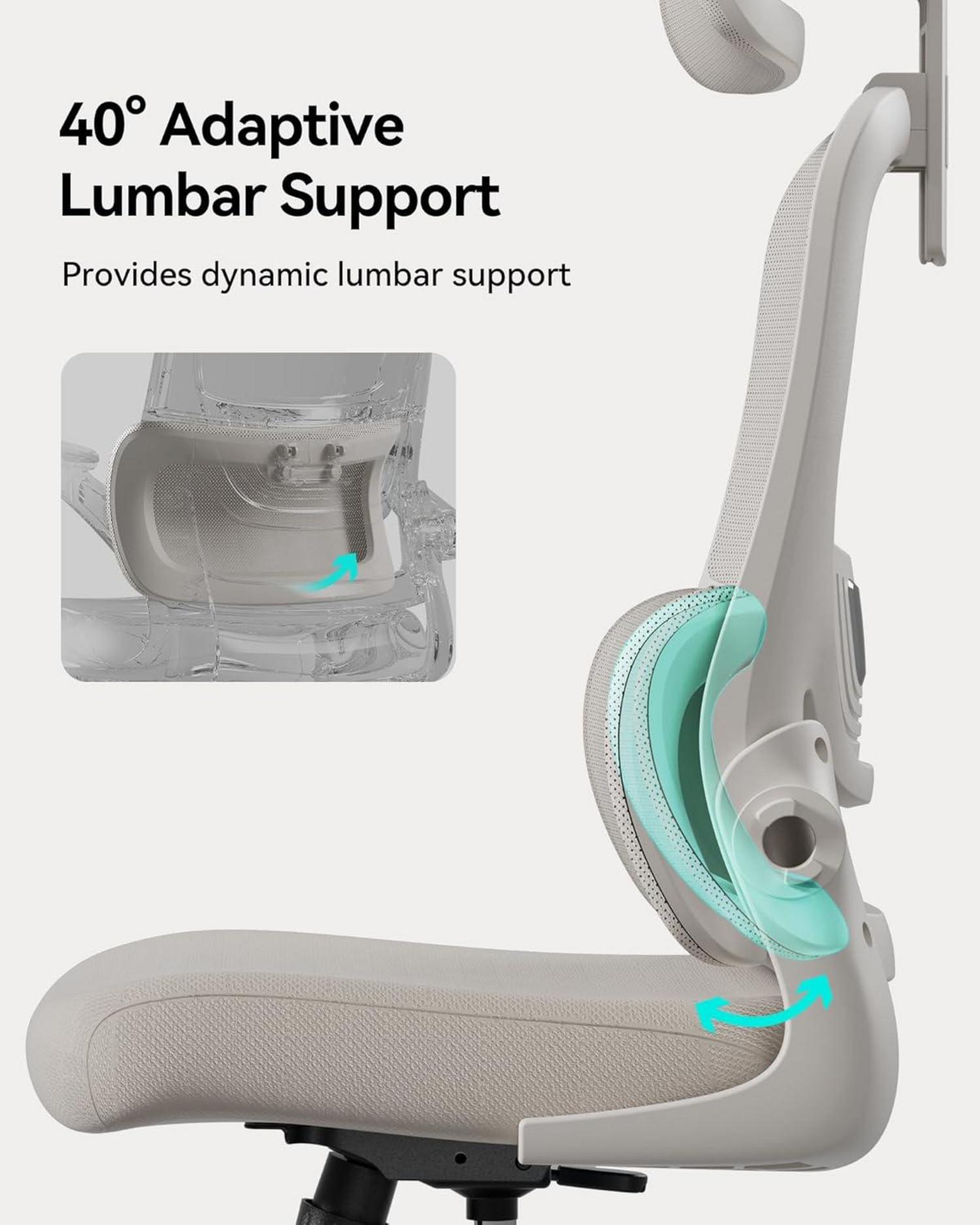 Hbada P1 Ergonomischer Bürostuhl mit Verstellbarer Lendenstütze, 2D
