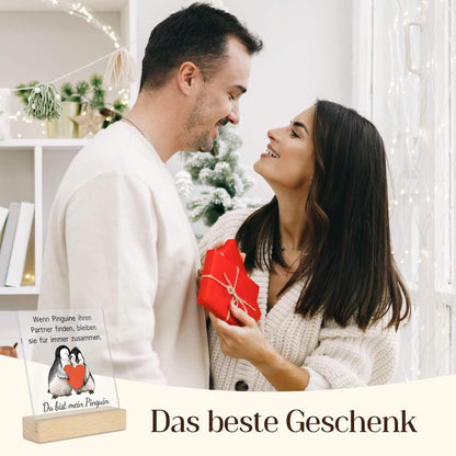 Acryl Deko Schild "Du bist mein Pinguin" - Romantisches Geschenk für Partner