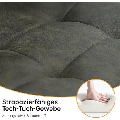 LEWE Esszimmerstühle 2er Set, Gepolstert Grün