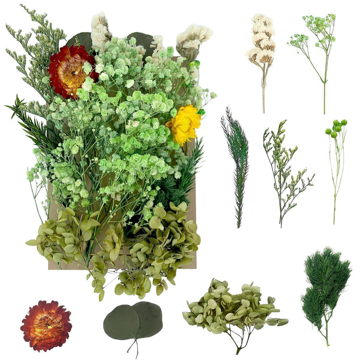 Getrocknete Blumen – Naturdeko für Zuhause & DIY Projekte