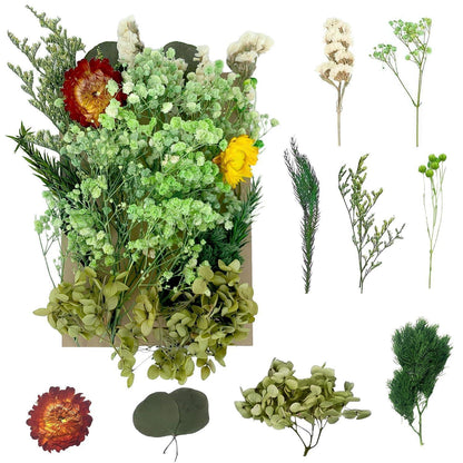Getrocknete Blumen – Naturdeko für Zuhause & DIY Projekte
