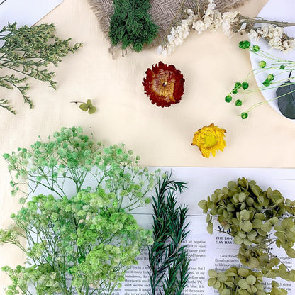 Getrocknete Blumen – Naturdeko für Zuhause & DIY Projekte