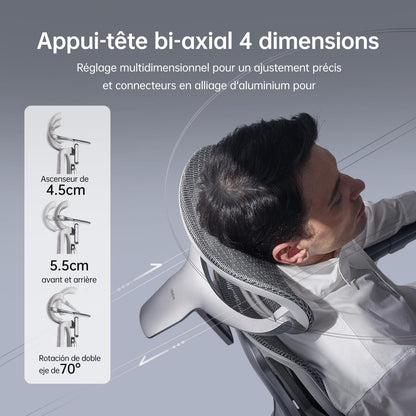 Hbada E3 Ultra Ergonomischer Bürostuhl mit 3-Zonen-Lendenwirbelstütze 4D Kopfstütze Grau