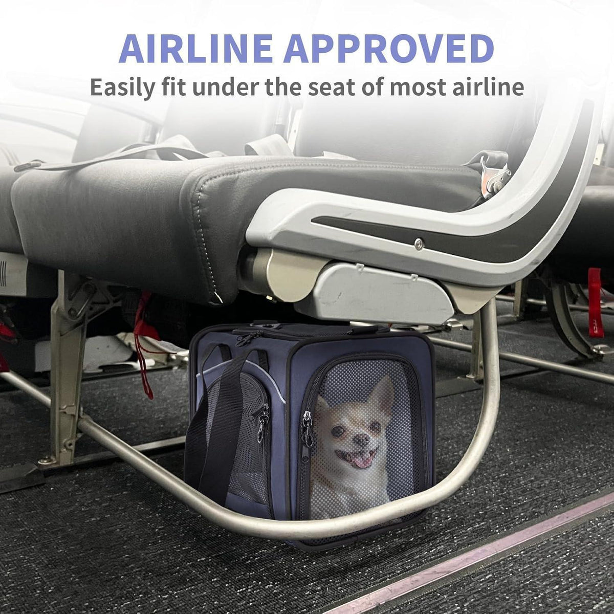 Haustiertransporttasche für Flugzeug & Auto – Gepolstert, Blau, M