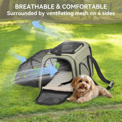 Faltbare Transporttasche für Katze & Hund – Grün, 43x50x28cm