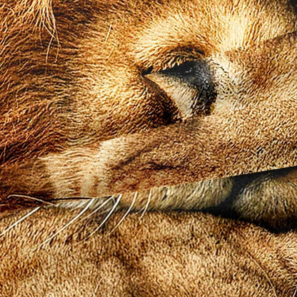 Löwen Bettwäsche Set 135x200cm – 3D Effekt & Mikrofaser