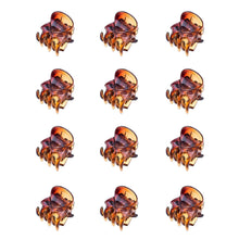 12er Set Mini Haarklammern Kunststoff Haarspangen Mädchen Haarschmuck