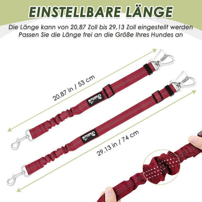2x Hunde Sicherheitsgurt Auto – Elastische Ruckdämpfung & Verstellbar