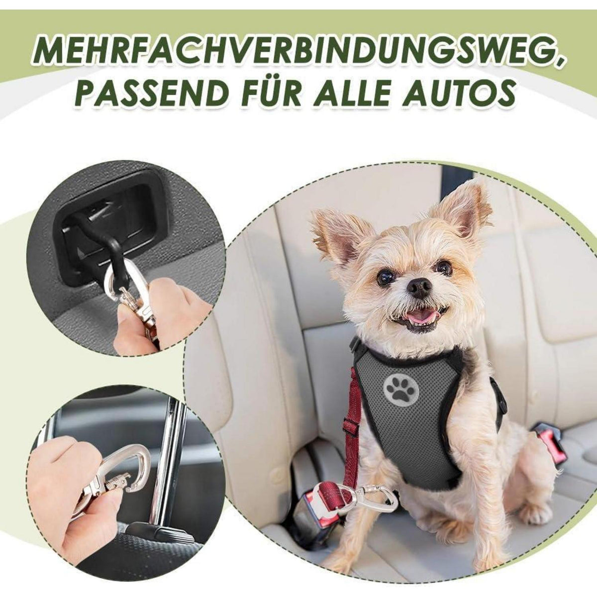 2x Hunde Sicherheitsgurt Auto – Elastische Ruckdämpfung & Verstellbar