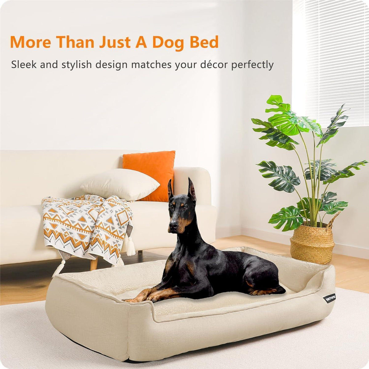 Hundebett mit erhöhtem Rand, abnehmbar und waschbar, Beige