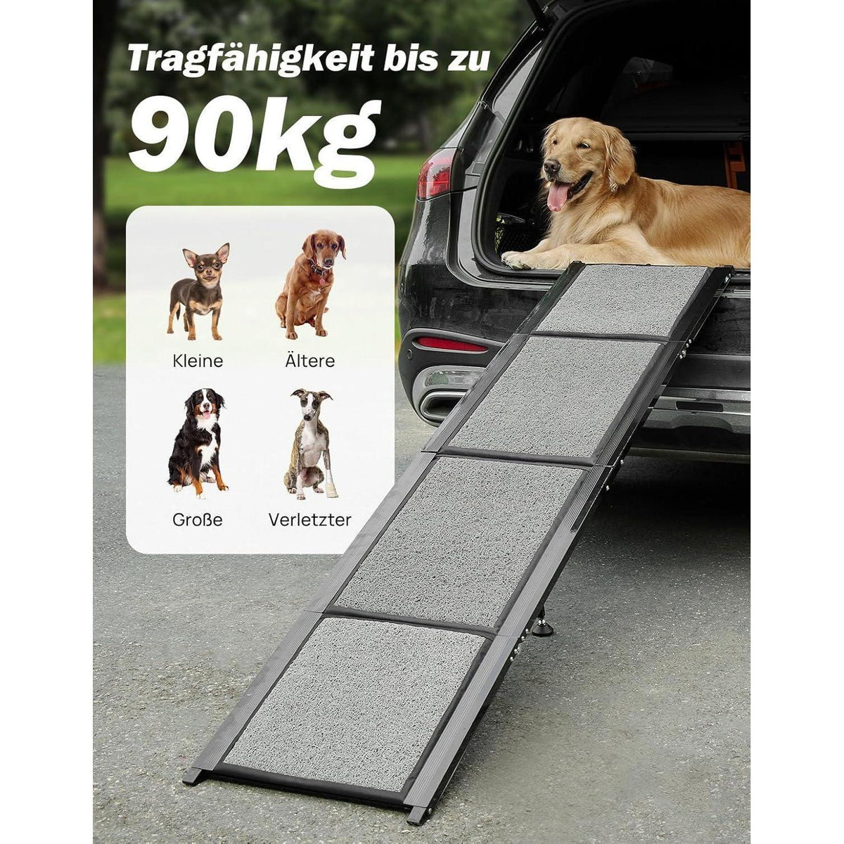 Faltbare Hunderampe für Auto, SUV & LKW – 90kg Belastbarkeit