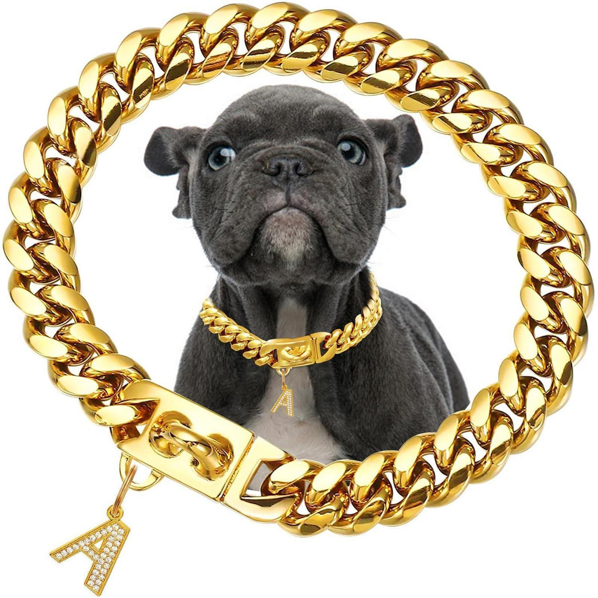 Goldene Hundekette 15mm mit Anhänger – 55cm