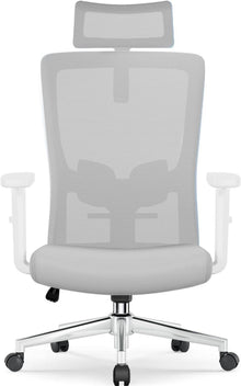 Ergonomischer Bürostuhl mit Verstellbarer Lendenwirbelstütze