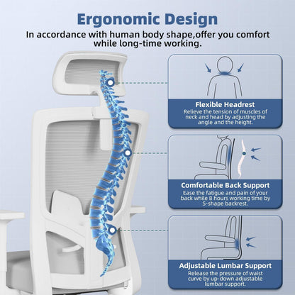 Ergonomischer Bürostuhl mit Lendenwirbelstütze & Wippfunktion