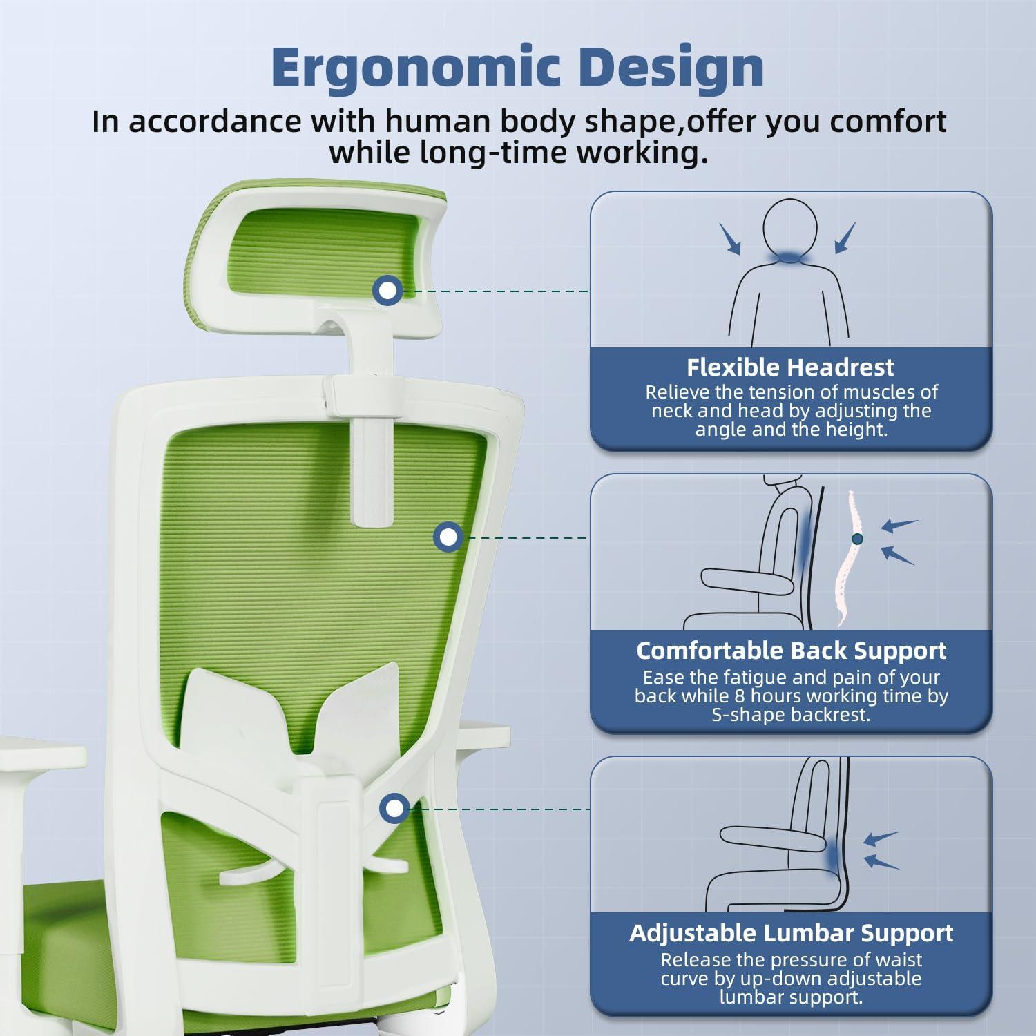 Ergonomischer Bürostuhl mit Verstellbarer Lendenwirbelstütze, Armlehnen und Kopfstütze