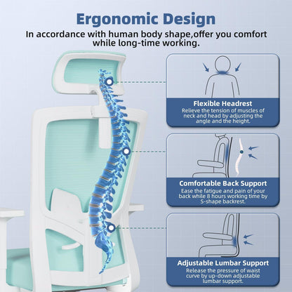 Ergonomischer Bürostuhl mit Verstellbarer Lendenwirbelstütze, Armlehnen und Kopfstütze, Drehstuhl Chefsessel bis 135° Wippfunktion