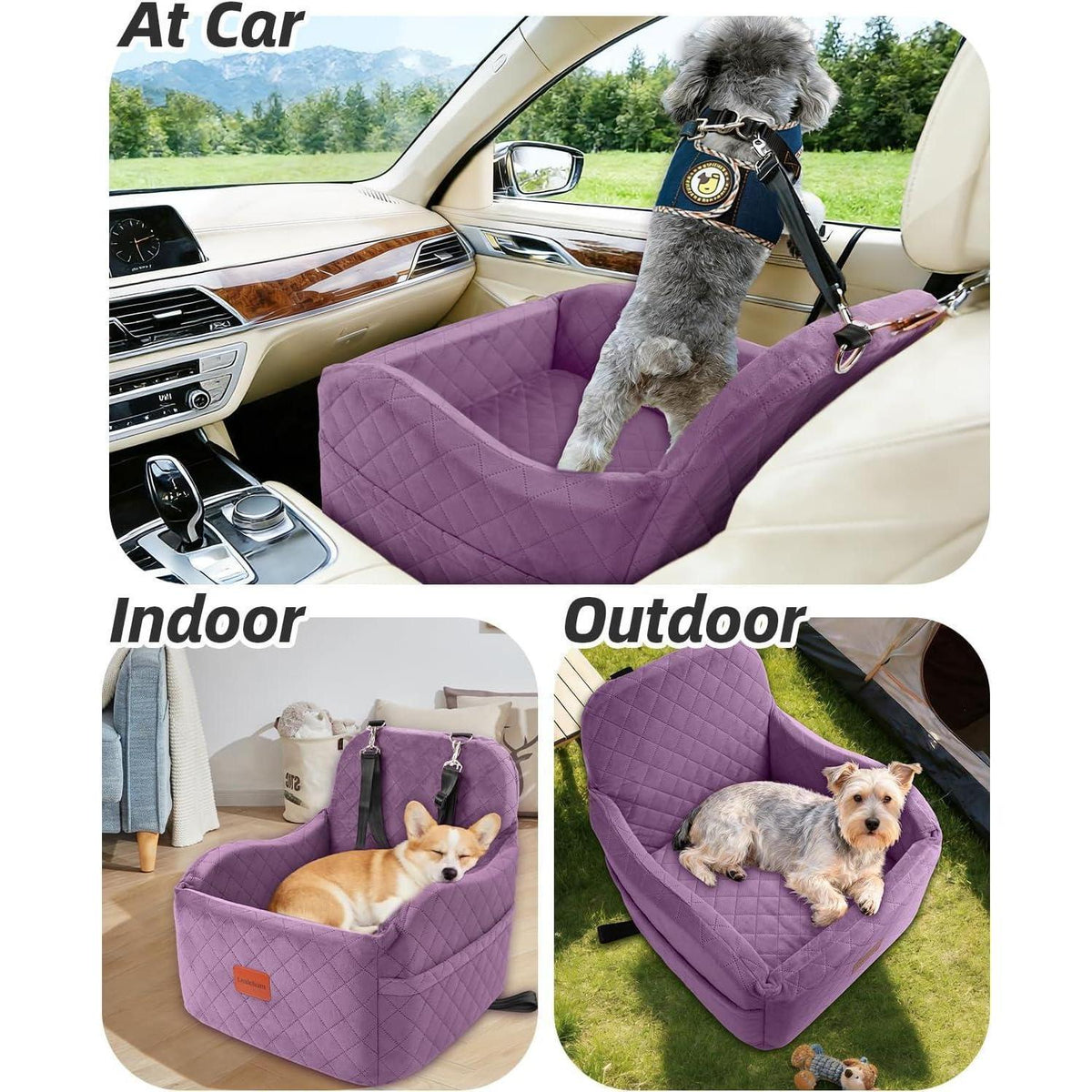 Hunde-Autositz Purple Medium mit Leinen