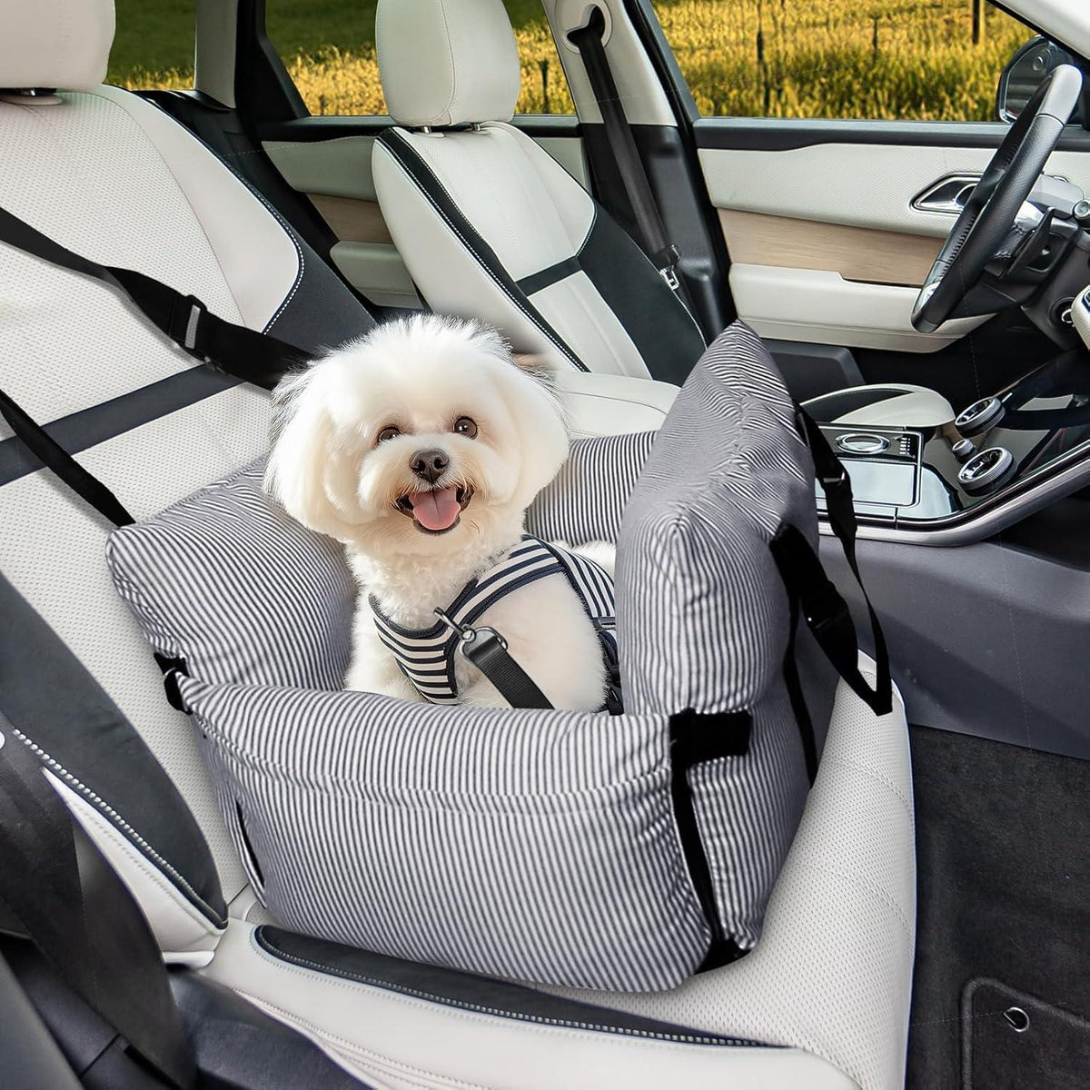 Sicherer Hunde-Autositz mit Gurt – Blau, Small (bis 6 kg)