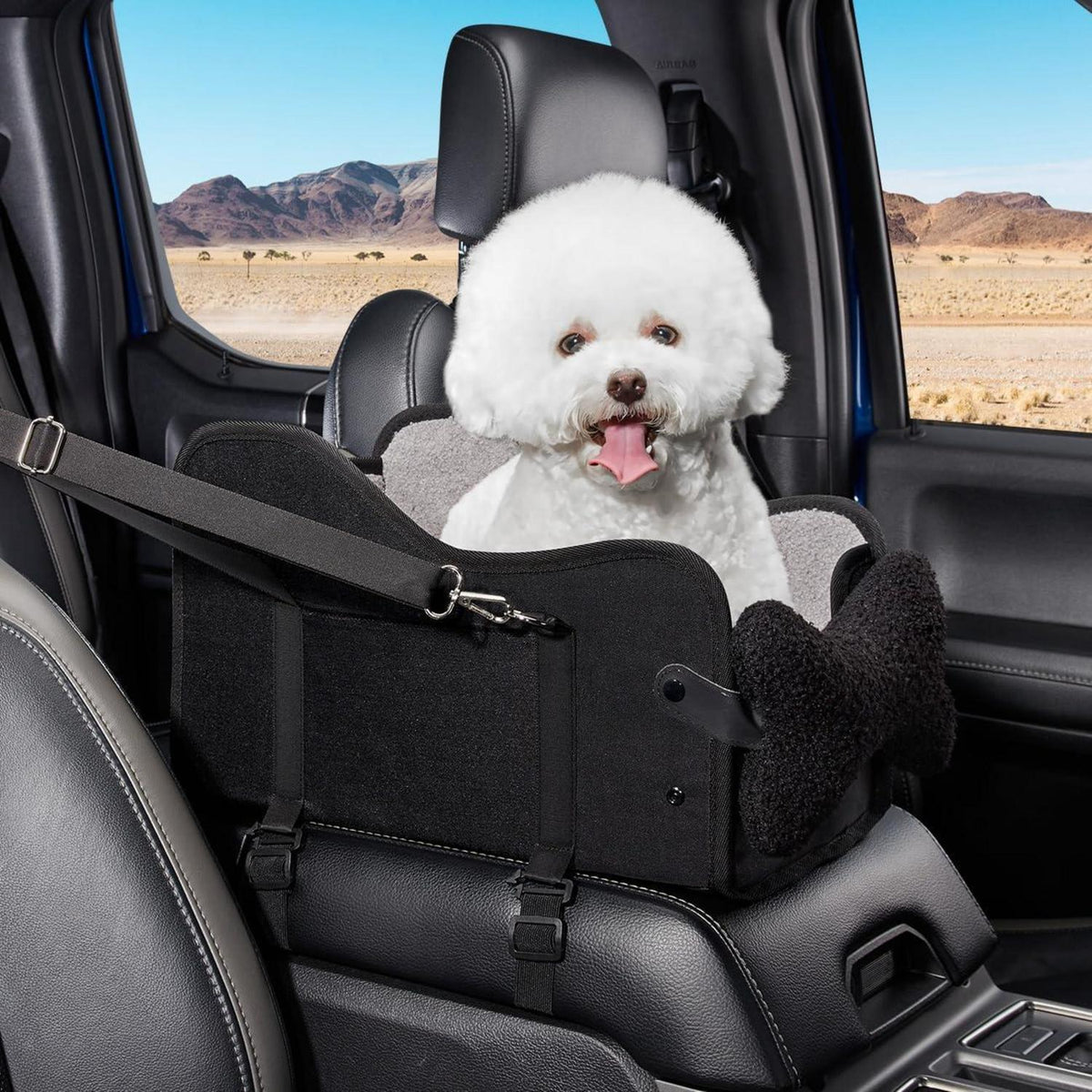 Auto-Hundesitz für Kleine Hunde & Katzen – Sicher & Komfortabel