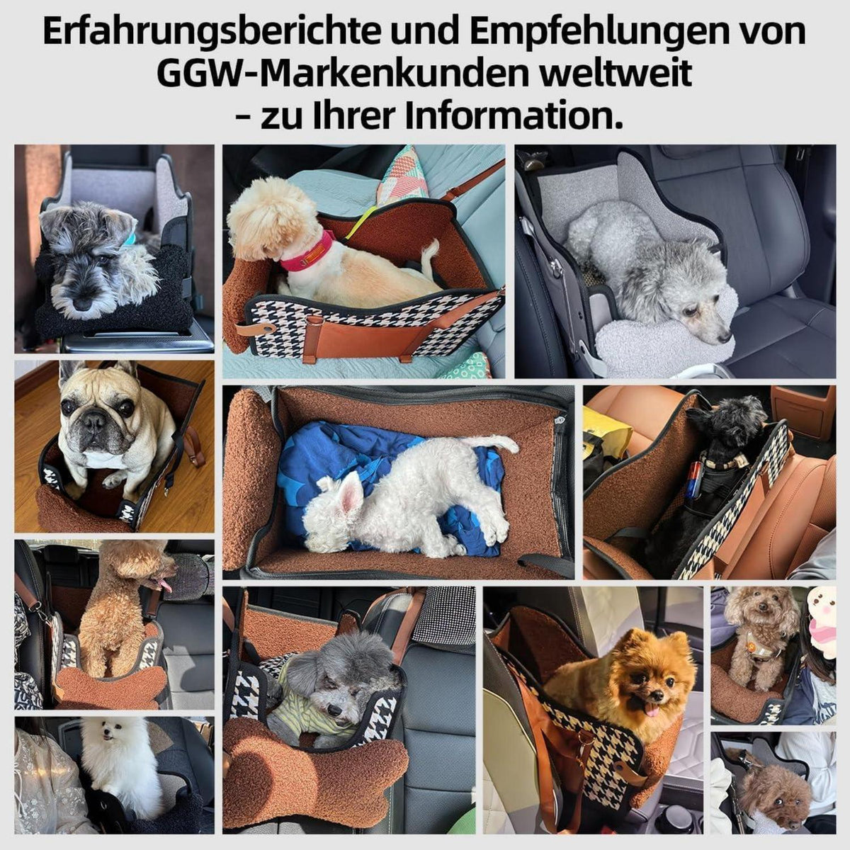 Auto-Hundesitz für Kleine Hunde & Katzen – Sicher & Komfortabel