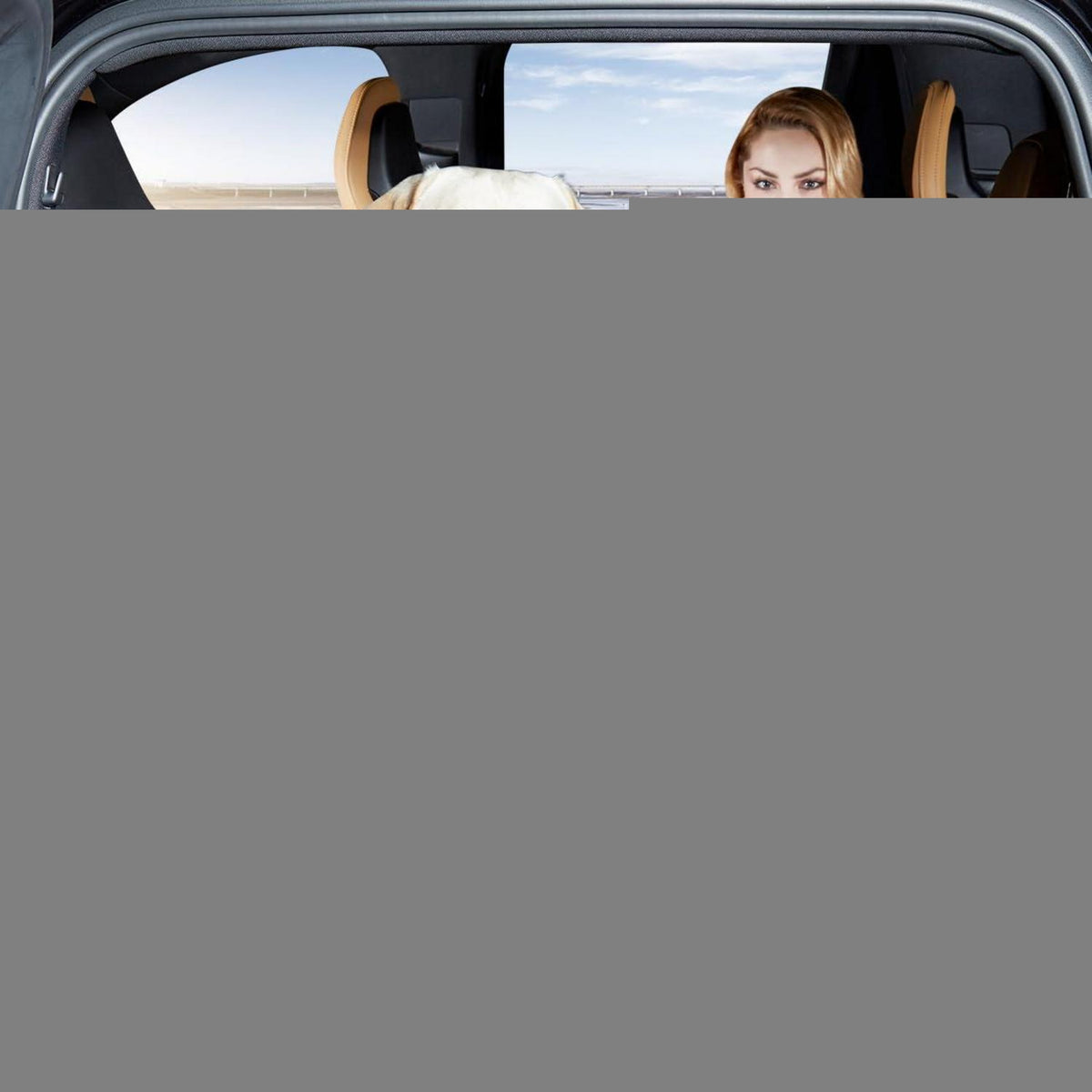 Hunde Autositz Rückbank L – Sicherer & Robuster Boostersitz mit Matte