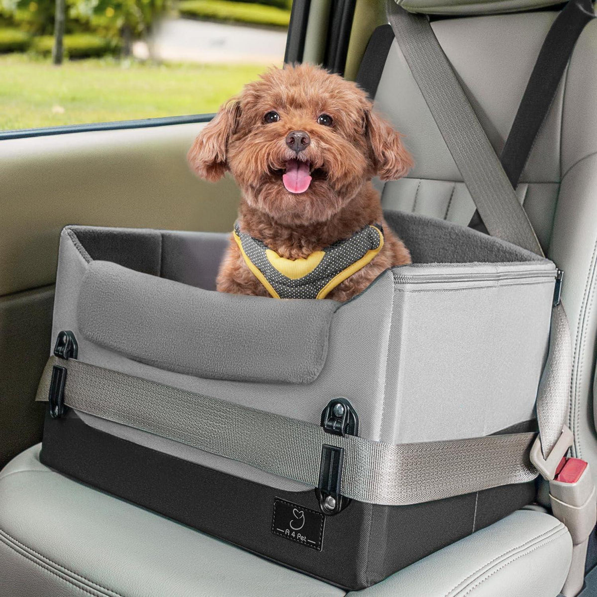 Hundeautositz für kleine Hunde mit Gurtbefestigung & Fleece
