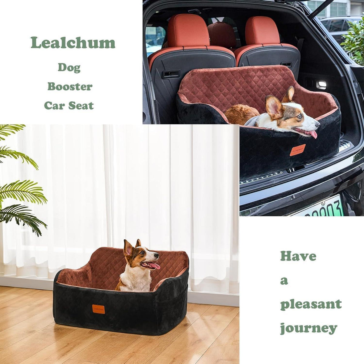 Hunde-Autositz Large – Weicher Memory-Schaum & Sicherheitsleine