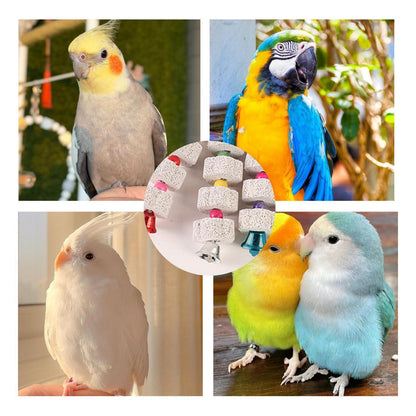 3x Vogel Kauspielzeug mit Schleifstein & Glocke