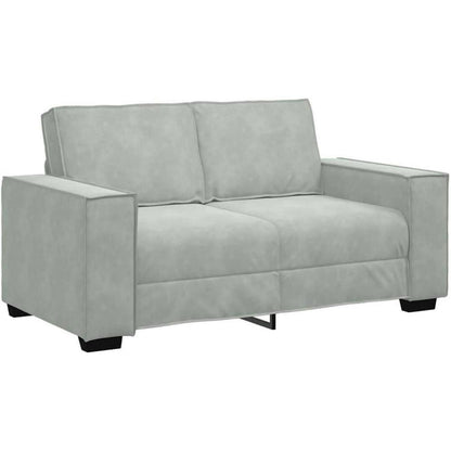 2-Sitzer Sofa Hellgrau Samt – Komfortable Polstercouch