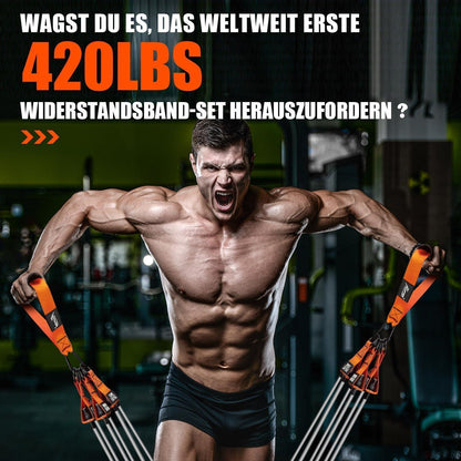 Widerstandsbänder Set mit Griffen & Zubehör, bis 190kg