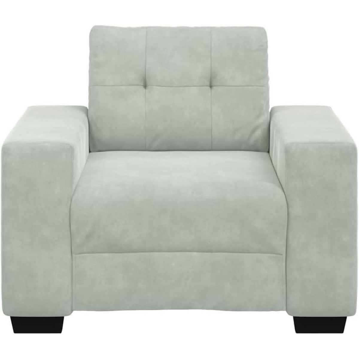 Hellgrauer Samt Sessel – Kleines Sofa 60 cm, Modernes Design