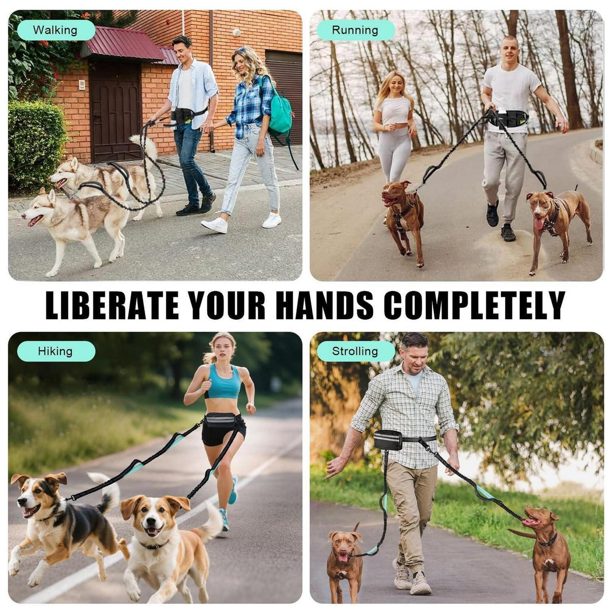 Freihändige Hundeleine für 2 Hunde mit Tasche & Reflektoren
