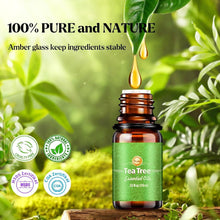 Ätherische Öle Set 24x10ml | 100% Naturrein für Diffuser & Spa