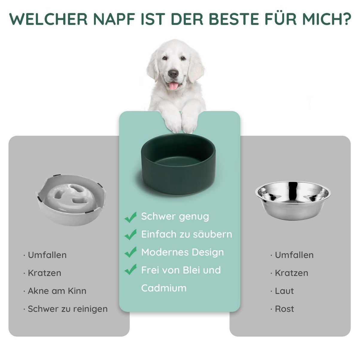 Keramik Hundenapf 850ml Grün – Stabil & Leicht zu Reinigen