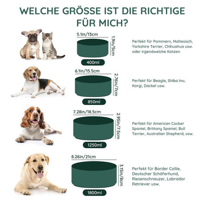 Keramik Hundenapf 850ml Grün – Stabil & Leicht zu Reinigen