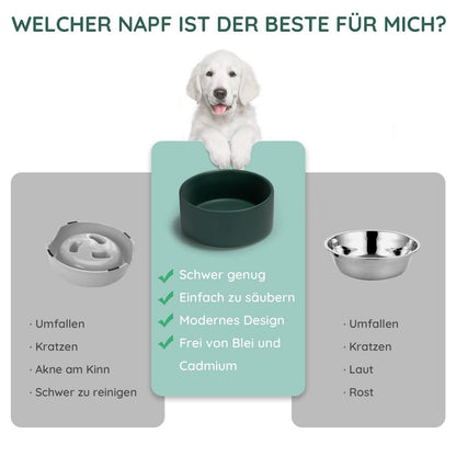 Keramik Hundenapf 1250ml Grün – Stabil & Leicht zu Reinigen