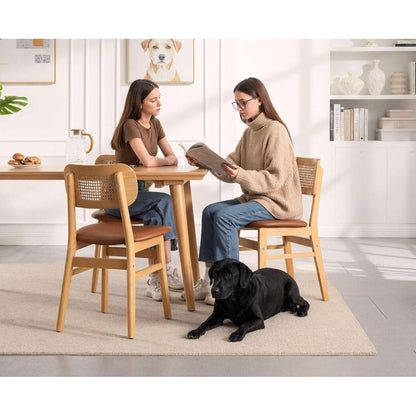 Esszimmerstühle 2er Set Rattan Braun in Lederoptik