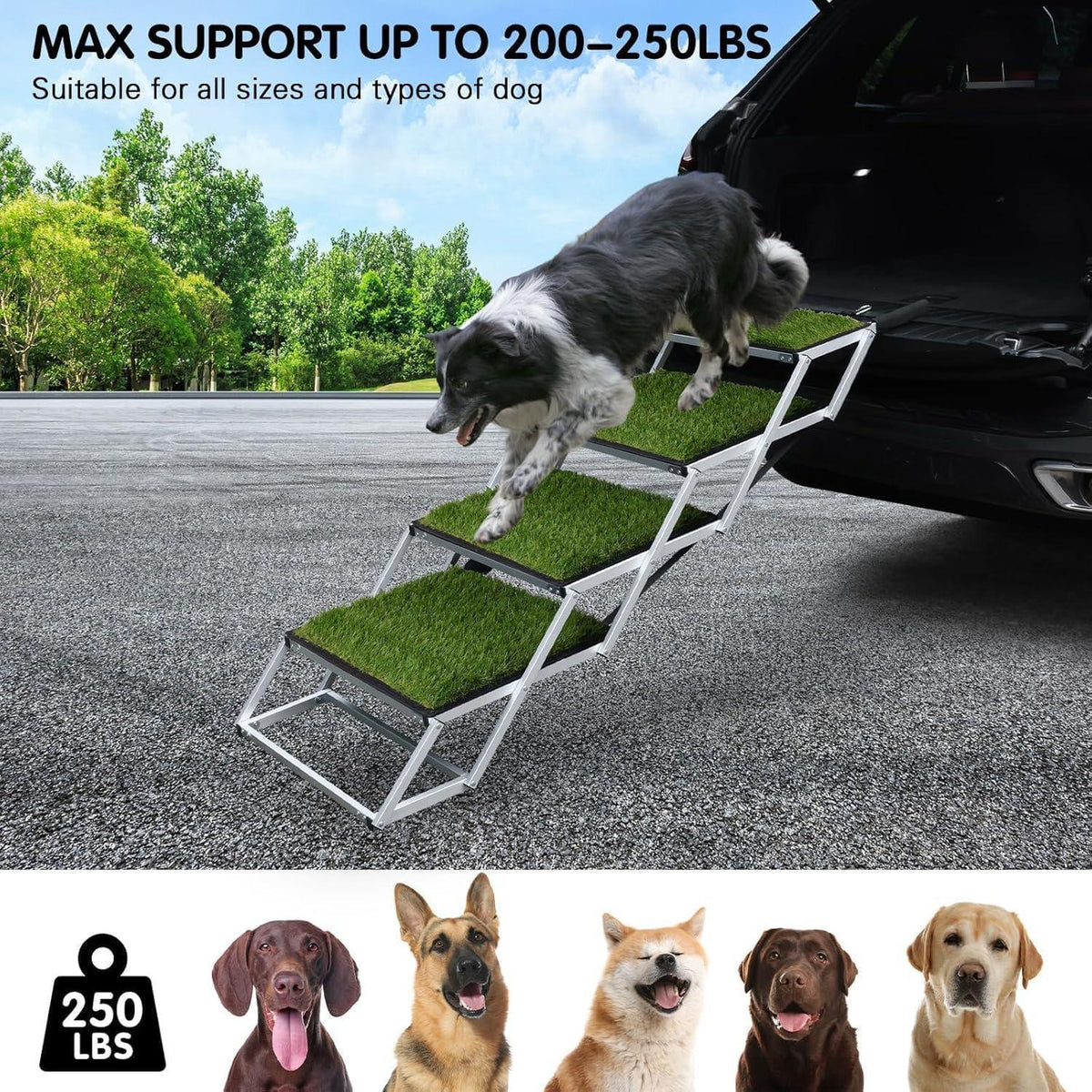 Hundetreppe Auto Klappbar – Einstiegshilfe für Hunde (70-90cm)