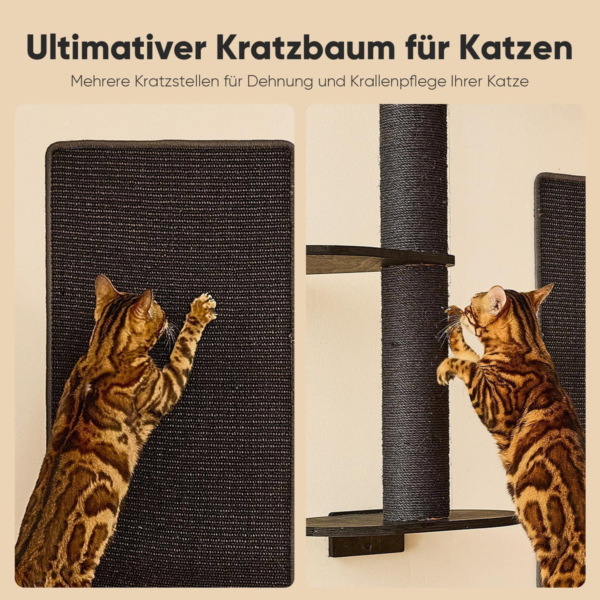 Katzenkletterwand 4in1 – Wandmöbel mit Hängematte & Kratzbaum