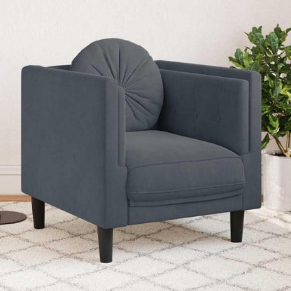 Modernes Samt Sofa 2-Sitzer Dunkelgrau – Bequemes Wohnzimmer Sofa