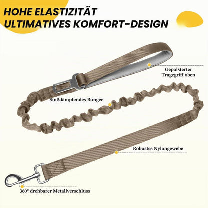 Taktisches Hundehalsband mit Leine – Robust & Verstellbar (Khaki, L)